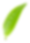 Slider 1